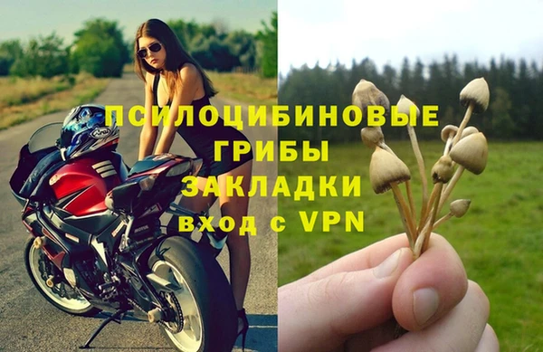 mdpv Богородск