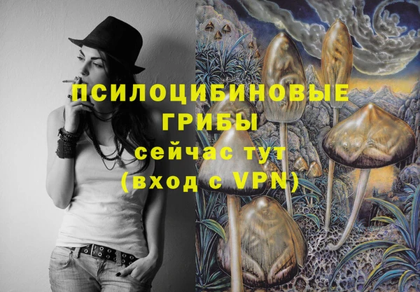 амфетамин Богородицк