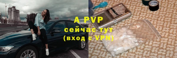 apvp Богданович