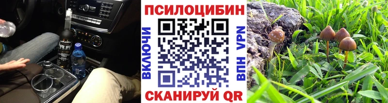 Купить закладки  Балахна  Псилоцибиновые грибы MAGIC MUSHROOMS 